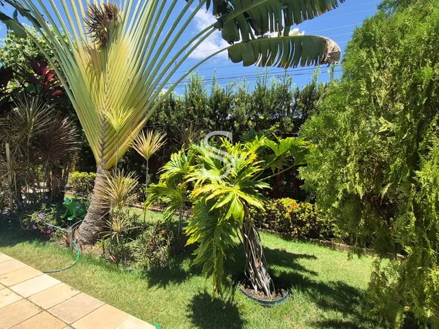 Imagem 4: Casa Alto Padrão em Ininga, Teresina/PI