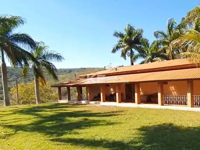 Imagem: FAZENDA DE CAFÉ ESPECIAL E PECUÁRIA EM