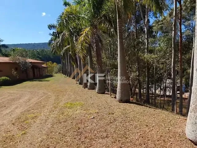Imagem 4: FAZENDA DE CAFÉ ESPECIAL E PECUÁRIA EM MONTE SANTO DE MINAS