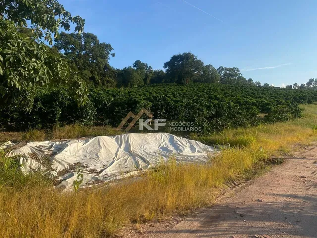 Imagem 6: FAZENDA DE CAFÉ ESPECIAL E PECUÁRIA EM MONTE SANTO DE MINAS