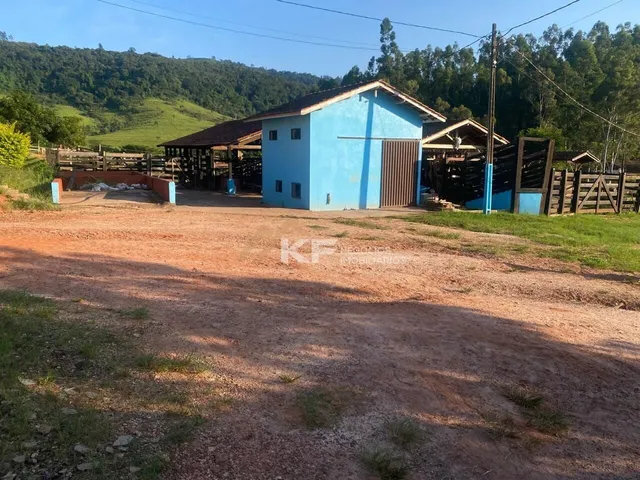 Imagem 11: FAZENDA DE CAFÉ ESPECIAL E PECUÁRIA EM MONTE SANTO DE MINAS