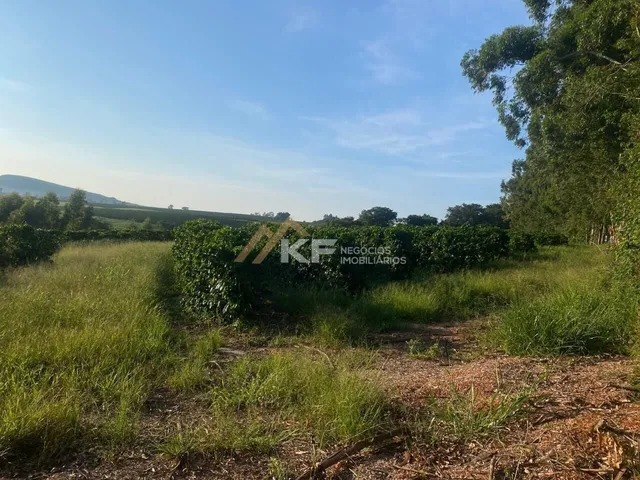 Imagem 8: FAZENDA DE CAFÉ ESPECIAL E PECUÁRIA EM MONTE SANTO DE MINAS