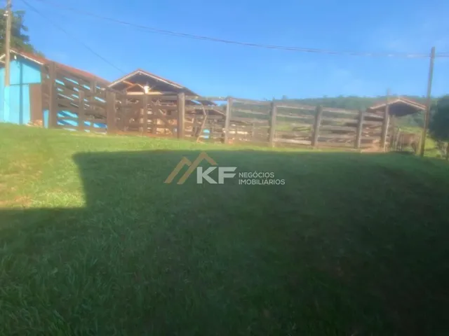 Imagem 15: FAZENDA DE CAFÉ ESPECIAL E PECUÁRIA EM MONTE SANTO DE MINAS