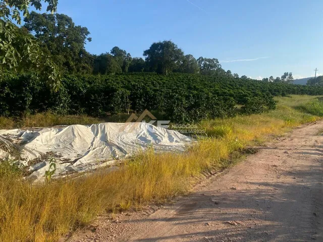 Imagem 10: FAZENDA DE CAFÉ ESPECIAL E PECUÁRIA EM MONTE SANTO DE MINAS