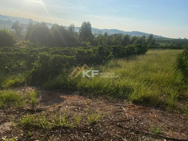 Imagem 5: FAZENDA DE CAFÉ ESPECIAL E PECUÁRIA EM MONTE SANTO DE MINAS