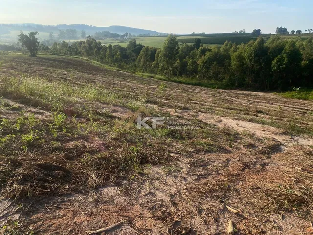 Imagem 9: FAZENDA DE CAFÉ ESPECIAL E PECUÁRIA EM MONTE SANTO DE MINAS