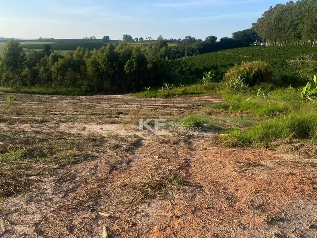 Imagem 14: FAZENDA DE CAFÉ ESPECIAL E PECUÁRIA EM MONTE SANTO DE MINAS
