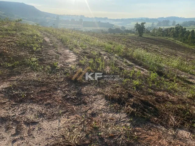 Imagem 16: FAZENDA DE CAFÉ ESPECIAL E PECUÁRIA EM MONTE SANTO DE MINAS