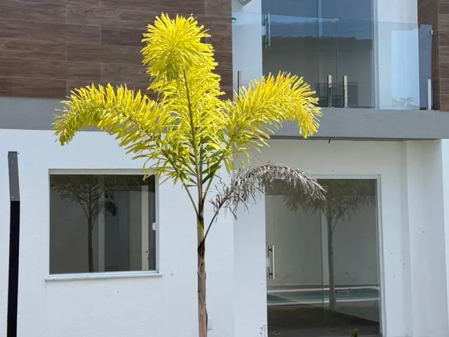 Imagem 12: Condo em Camaçari - Bahia, Vila de Abrantes (Abrantes