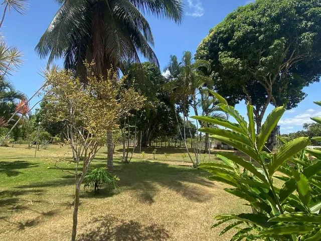 Imagem 16: SITIO RURAL em Camaçari - Bahia, Cajazeiras de Abrantes (Abrantes