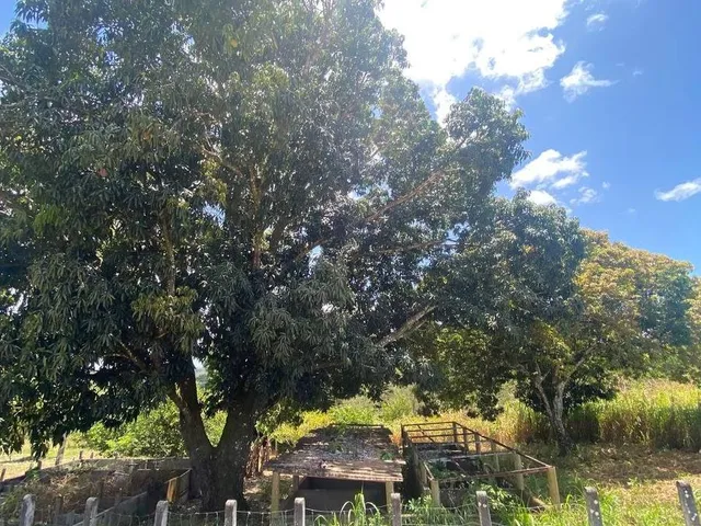 Imagem 2: SITIO RURAL em Camaçari - Bahia, Cajazeiras de Abrantes (Abrantes