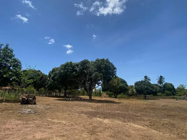 Imagem 7: SITIO RURAL em Camaçari - Bahia, Cajazeiras de Abrantes (Abrantes