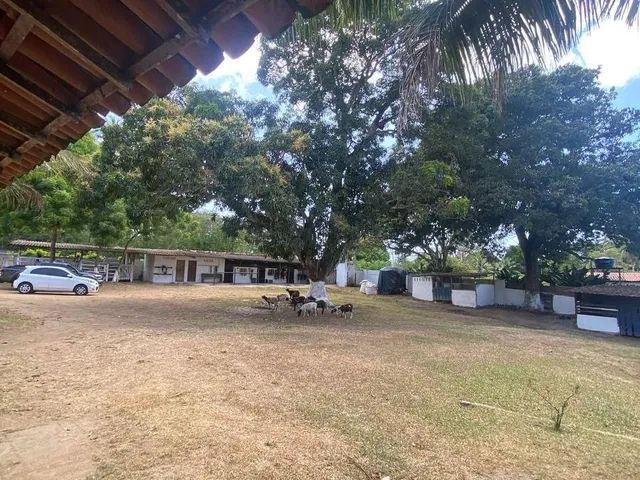 Imagem 10: SITIO RURAL em Camaçari - Bahia, Cajazeiras de Abrantes (Abrantes