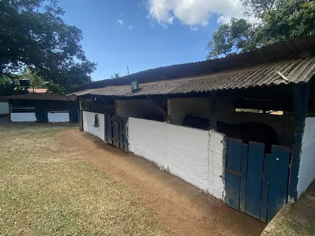 Imagem 16: SITIO RURAL em Camaçari - Bahia, Cajazeiras de Abrantes (Abrantes