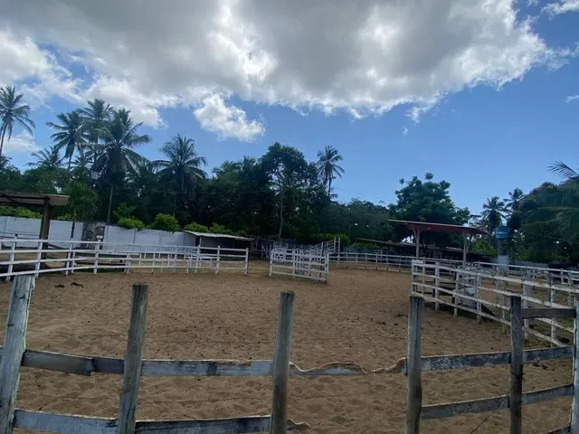 Imagem 14: SITIO RURAL em Camaçari - Bahia, Cajazeiras de Abrantes (Abrantes