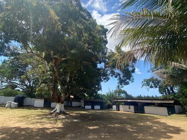 Imagem 7: SITIO RURAL em Camaçari - Bahia, Cajazeiras de Abrantes (Abrantes