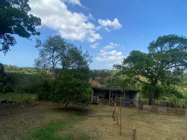 Imagem 13: SITIO RURAL em Camaçari - Bahia, Cajazeiras de Abrantes (Abrantes