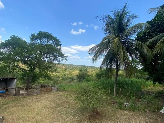 Imagem 15: SITIO RURAL em Camaçari - Bahia, Cajazeiras de Abrantes (Abrantes