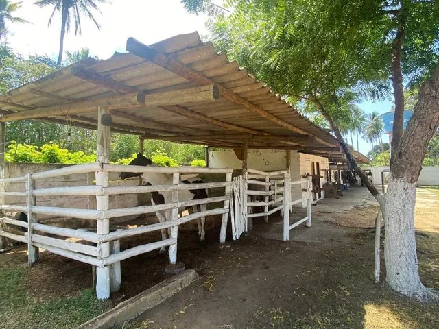 Imagem 6: SITIO RURAL em Camaçari - Bahia, Cajazeiras de Abrantes (Abrantes