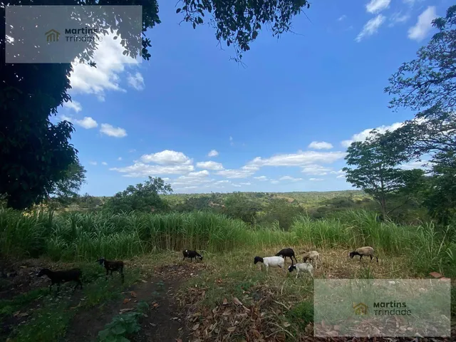 Imagem 9: SITIO RURAL em Camaçari - Bahia, Cajazeiras de Abrantes (Abrantes