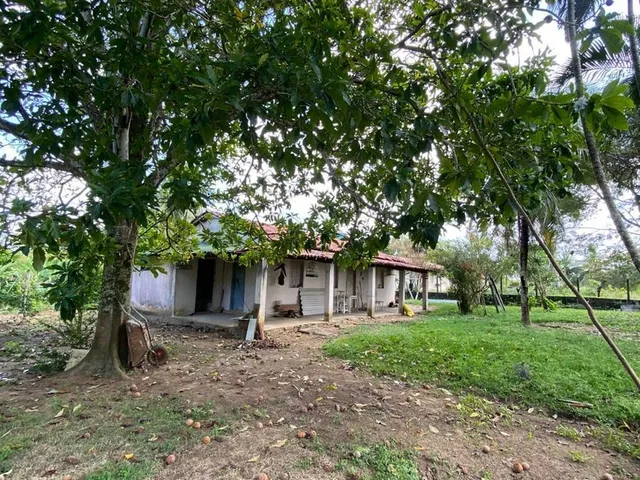 Imagem 10: SITIO RESIDENCIAL em Camaçari - Bahia, Cajazeiras de Abrantes (Abrantes