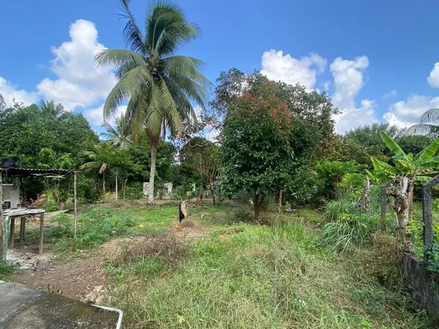 Imagem 5: SITIO RESIDENCIAL em Camaçari - Bahia, Cajazeiras de Abrantes (Abrantes