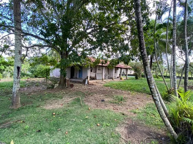 Imagem 15: SITIO RESIDENCIAL em Camaçari - Bahia, Cajazeiras de Abrantes (Abrantes