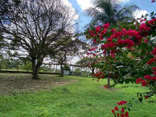 Imagem 11: SITIO RESIDENCIAL em Camaçari - Bahia, Cajazeiras de Abrantes (Abrantes