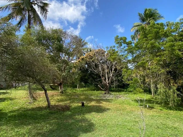 Imagem 2: SITIO RESIDENCIAL em Camaçari - Bahia, Cajazeiras de Abrantes (Abrantes