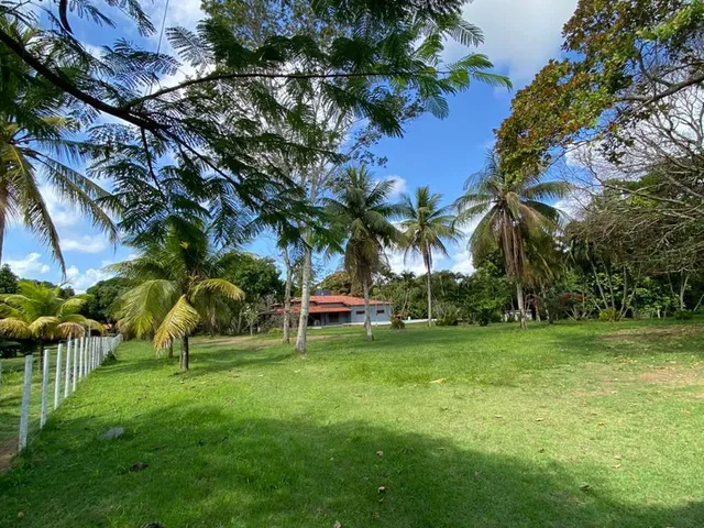 Imagem 12: SITIO RESIDENCIAL em Camaçari - Bahia, Cajazeiras de Abrantes (Abrantes