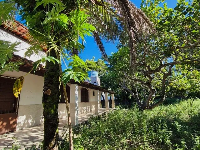 Imagem 10: SITIO RESIDENCIAL em Camaçari - Bahia, Vila de Abrantes (Abrantes