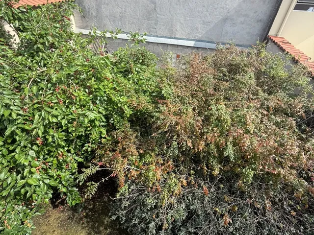 Imagem 9: Casa À Venda em Sorocaba-Sp, Bairro Éden, com 3 Quartos, 1 Sala, 3 Banheiros, 3 Vagas de Garagem e 192,00 M² de Área!