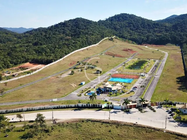 Imagem 12: ELE É UM VERDADEIRO PARAISO