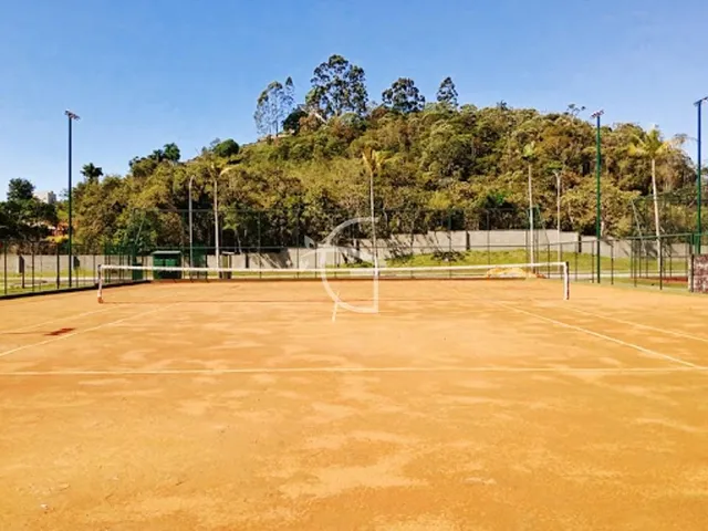 Imagem 2: ELE É UM VERDADEIRO PARAISO