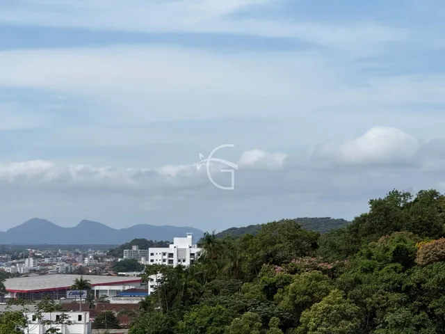 Imagem 15: Apartamento a 100 metros da Rua Arnaldo Moreira Douat