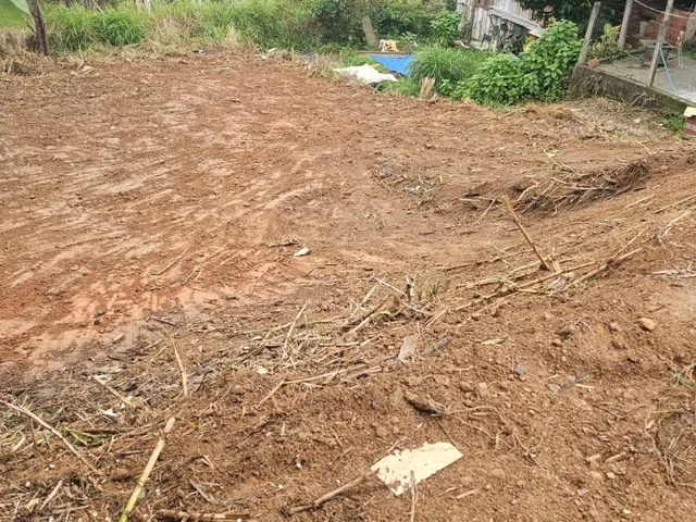 Imagem 2: Lote/Terreno - Ribeirão das Pedras - Indaial