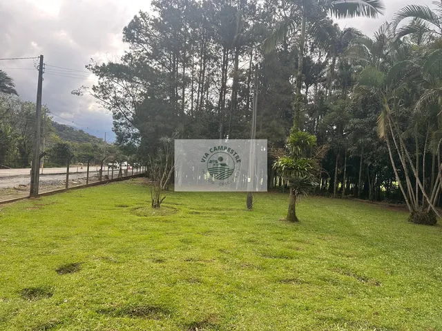 Imagem 10: Propriedade rural com 22.400 m2, escriturada, com casa de 4 dormitorios, com riacho