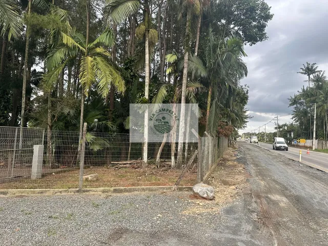 Imagem 11: Propriedade rural com 22.400 m2, escriturada, com casa de 4 dormitorios, com riacho