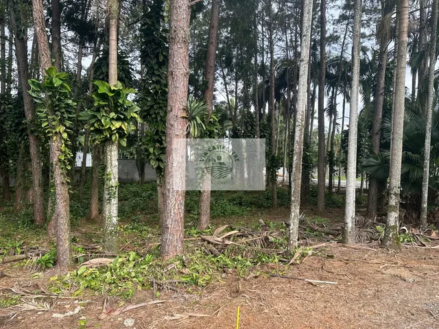 Imagem 6: Propriedade rural com 22.400 m2, escriturada, com casa de 4 dormitorios, com riacho