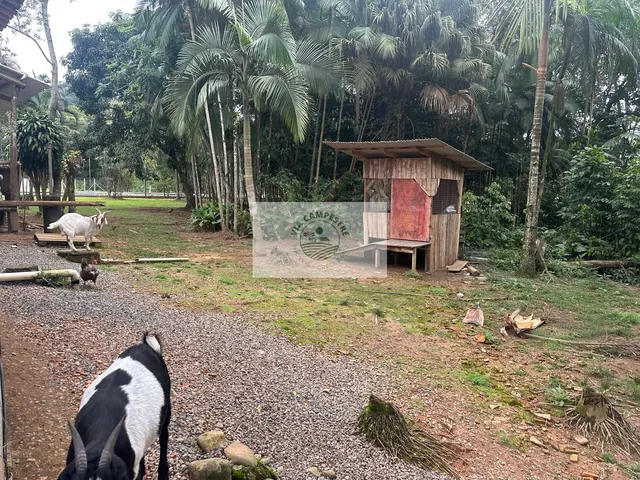 Imagem 12: Propriedade rural com 22.400 m2, escriturada, com casa de 4 dormitorios, com riacho