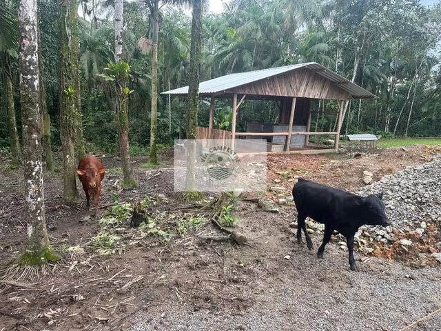 Imagem 9: Propriedade rural com 22.400 m2, escriturada, com casa de 4 dormitorios, com riacho