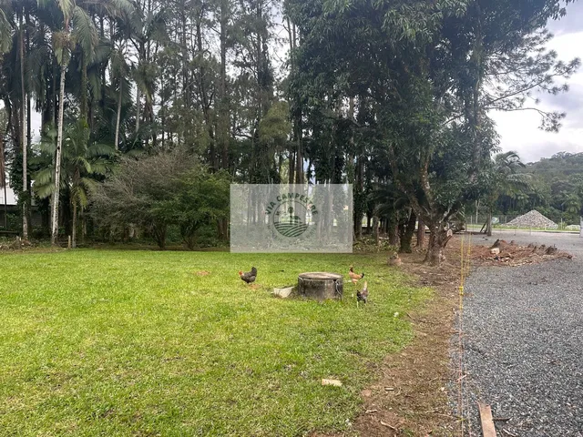 Imagem 4: Propriedade rural com 22.400 m2, escriturada, com casa de 4 dormitorios, com riacho