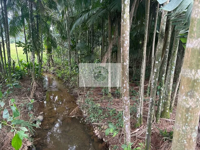Imagem 16: Propriedade rural com 22.400 m2, escriturada, com casa de 4 dormitorios, com riacho
