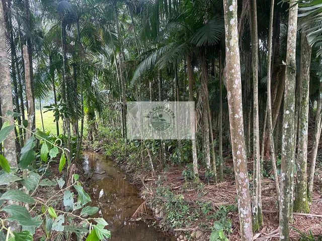 Imagem 3: Propriedade rural com 22.400 m2, escriturada, com casa de 4 dormitorios, com riacho