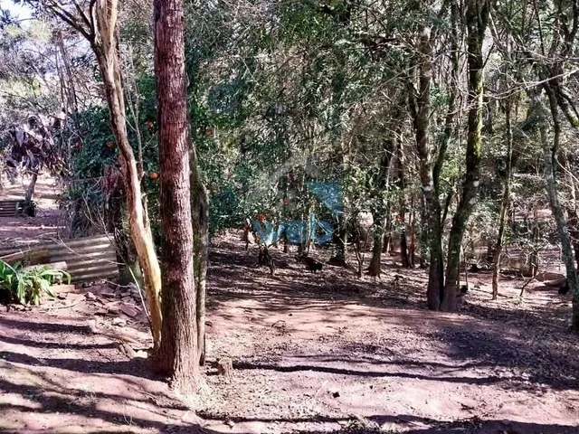 Imagem 11: Chácara com Localização Privilegiada, Quitandinha - Pr