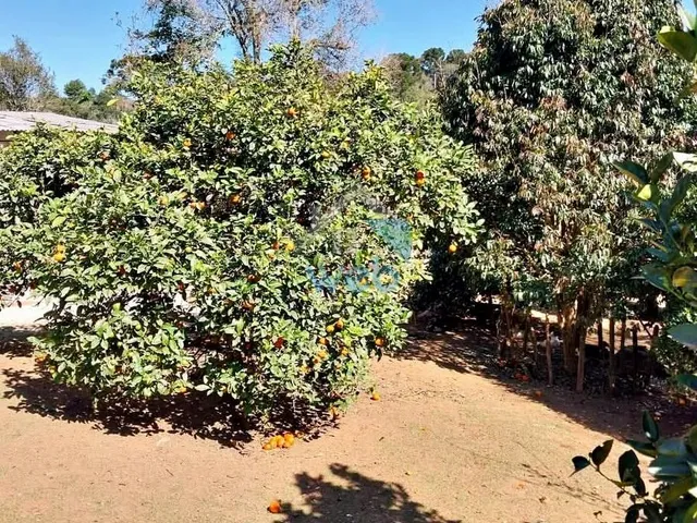 Imagem 13: Chácara com Localização Privilegiada, Quitandinha - Pr