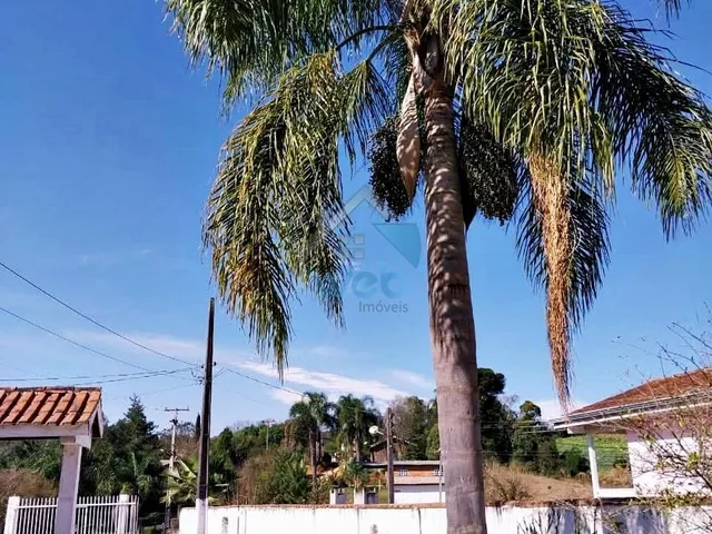 Imagem 9: Chácara com Localização Privilegiada, Quitandinha - Pr