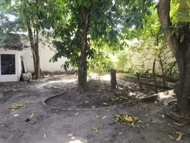 Imagem 2: Casa para Locação em Fragoso