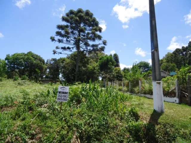 Imagem 2: OPORTUNIDADE BAIRRO SÃO SEBASTIÃO