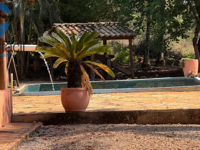 Imagem 15: FAZENDA QUILONBO SILVANIA